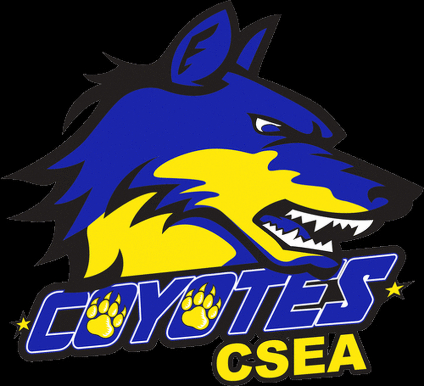Coyote transparent